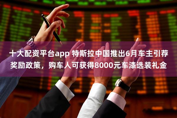 十大配资平台app 特斯拉中国推出6月车主引荐奖励政策，购车人可获得8000元车漆选装礼金